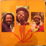 Culture : International Herb (LP, Album)