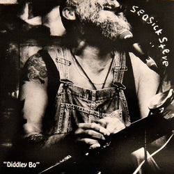 Seasick Steve : Diddley Bo (7