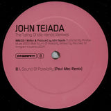 John Tejada : The Toiling Of Idle Hands (Remixed By Paul Mac) (12")