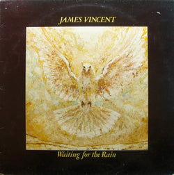 James Vincent : Waiting For The Rain (LP, Album)