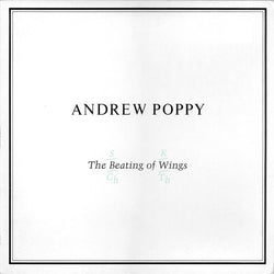 Andrew Poppy : The Beating Of Wings (LP, Album)