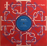 J.T. Taylor : Follow Me (12", Promo)