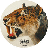 Sabre (7) : Nightdrive To Bolland (12")